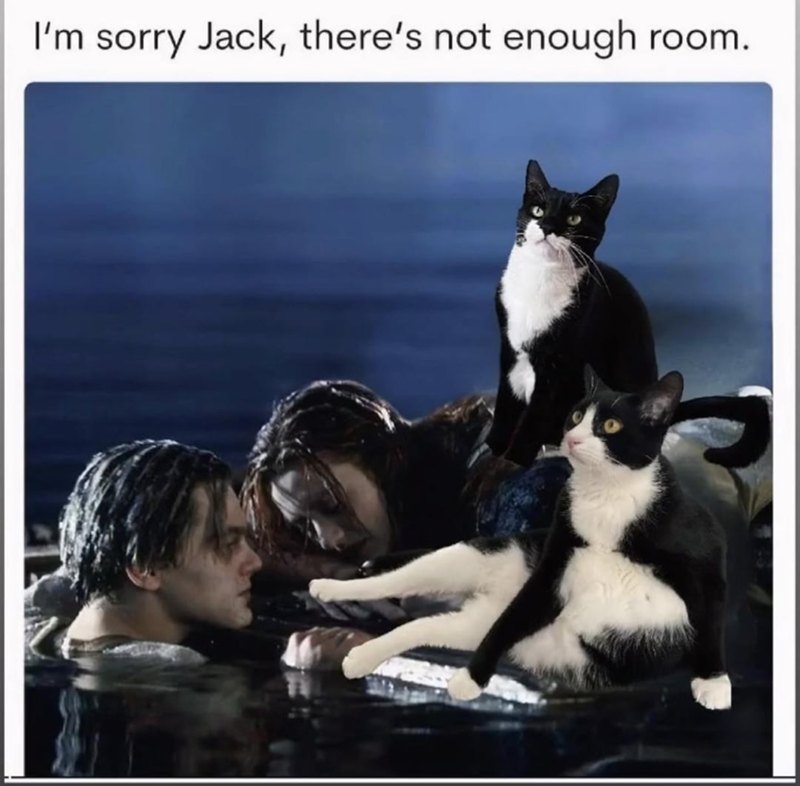 I'm sorry Jack, there's not enough