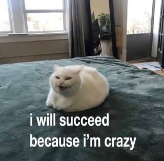 i will succeed because i'm crazy