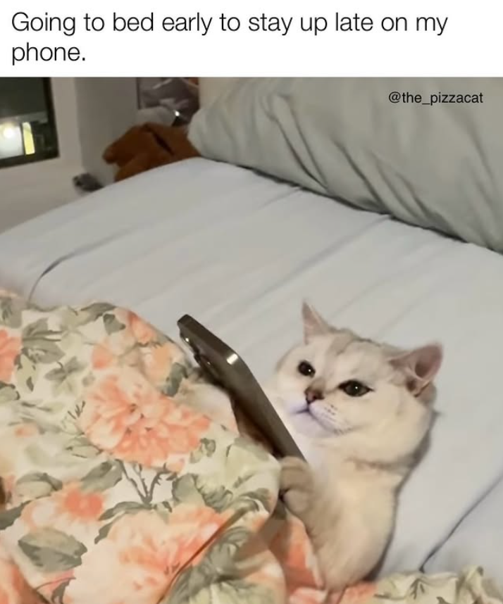 Going to bed early to stay up late on my phone. @the_pizzacat