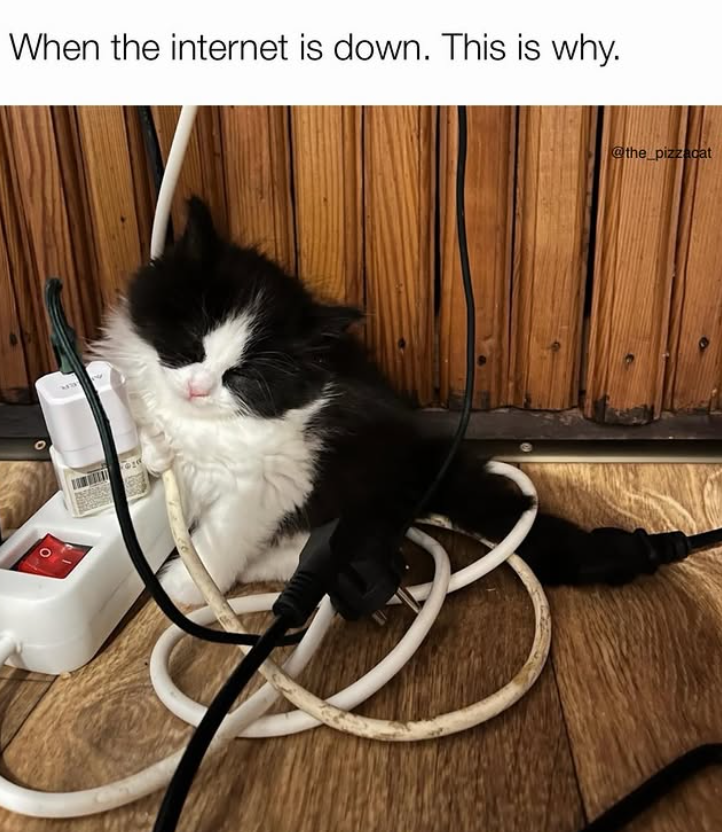 When the internet is down. This is why. @the_pizzacat