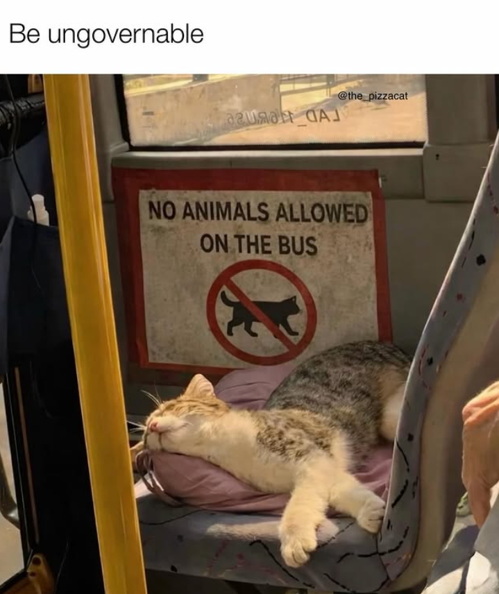 Be ungovernable azura J @the_pizzacat NO ANIMALS ALLOWED ON THE BUS