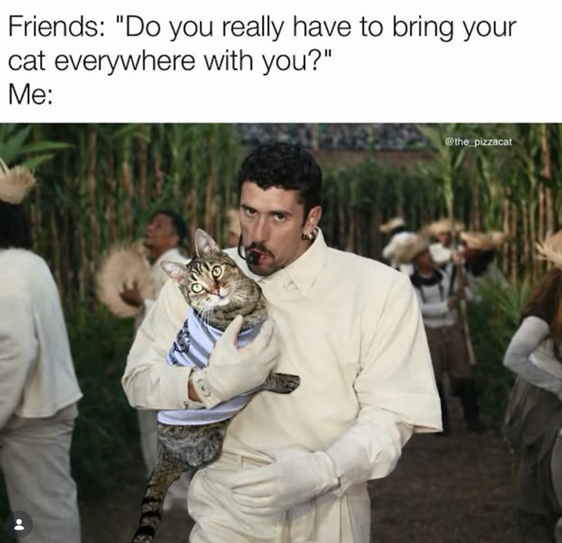 Friends: "Do you really have to bring your cat everywhere with you?" Me: @the_pizzacat