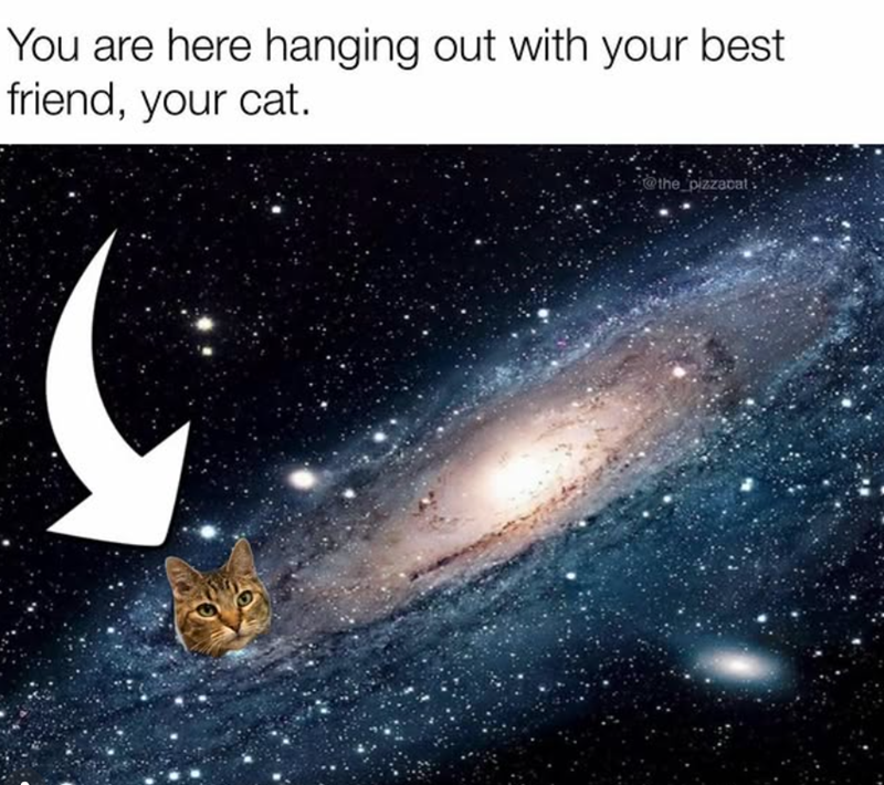 You are here hanging out with your best friend, your cat. @the_pizzacat