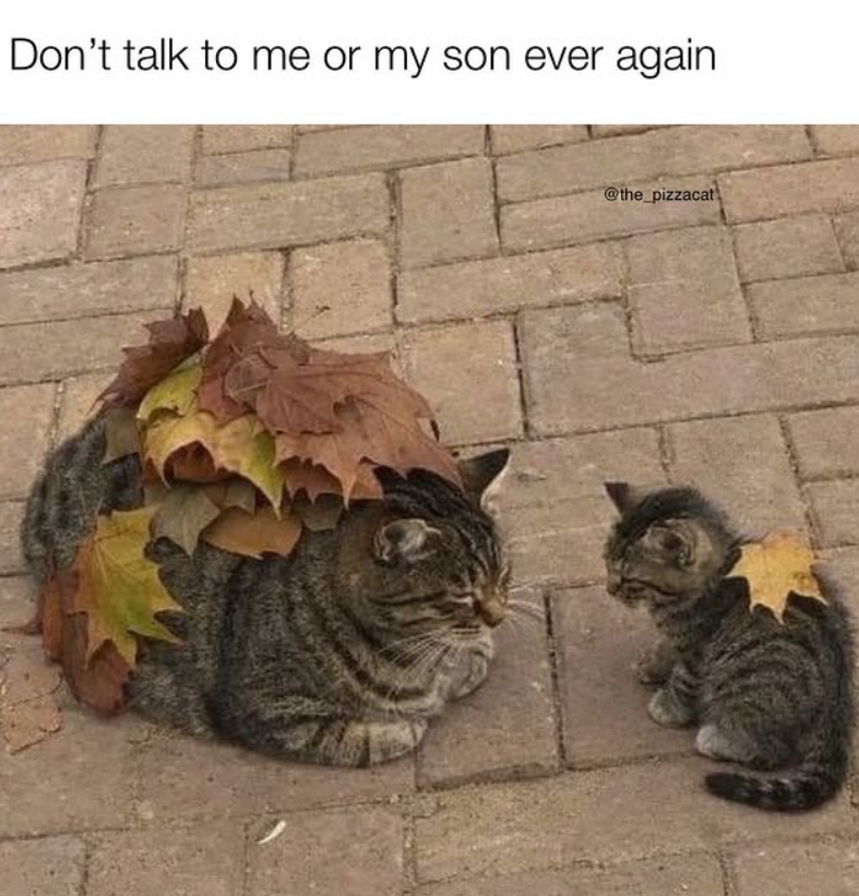 Don't talk to me or my son ever again @the_pizzacat