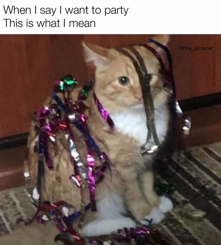 When I say I want to party This is what I mean @the_pizzacat