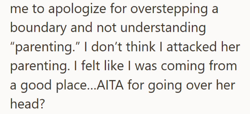 me to apologize for overstepping a boundary and not understanding "parenting." I don't think I attacked her parenting. I felt like I was coming from a good place...AITA for going over her head?