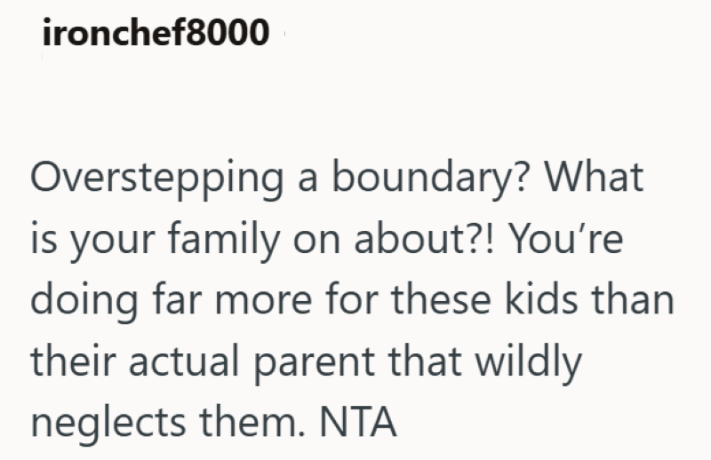 ironchef8000 Overstepping a boundary? What is your family on about?! You're doing far more for these kids than their actual parent that wildly neglects them. NTA