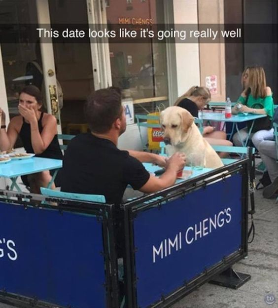 MIMI CHENGS This date looks like it's going really well LEGO E'S MIMI CHENG'S