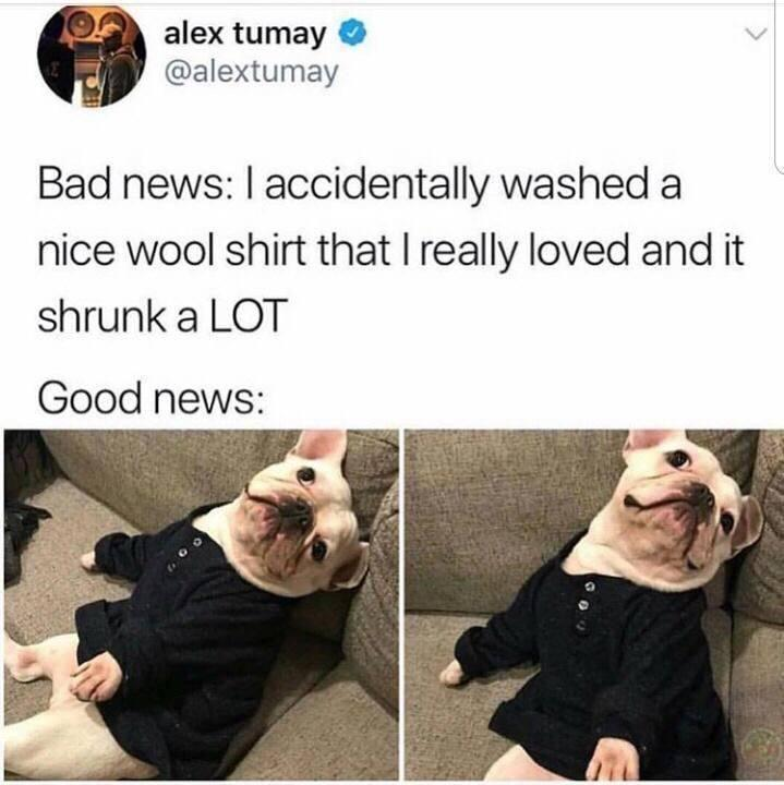 alex tumay @alextumay Bad news: I accidentally washed a nice wool shirt that I really loved and it shrunk a LOT Good news: