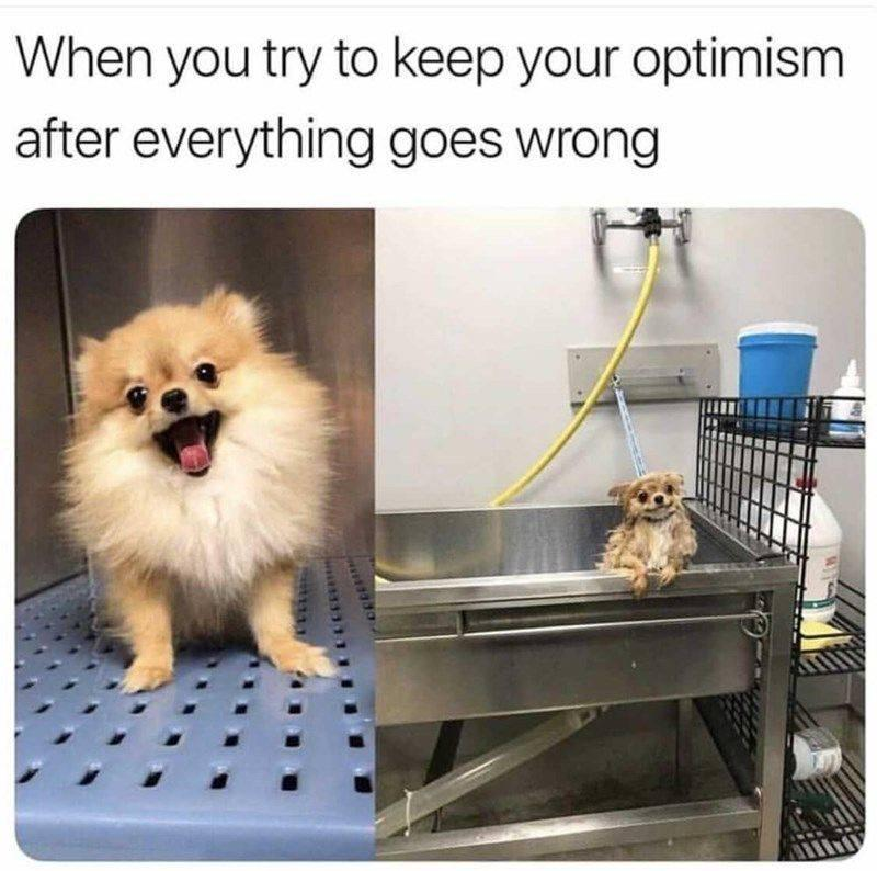 When you try to keep your optimism after everything goes wrong
