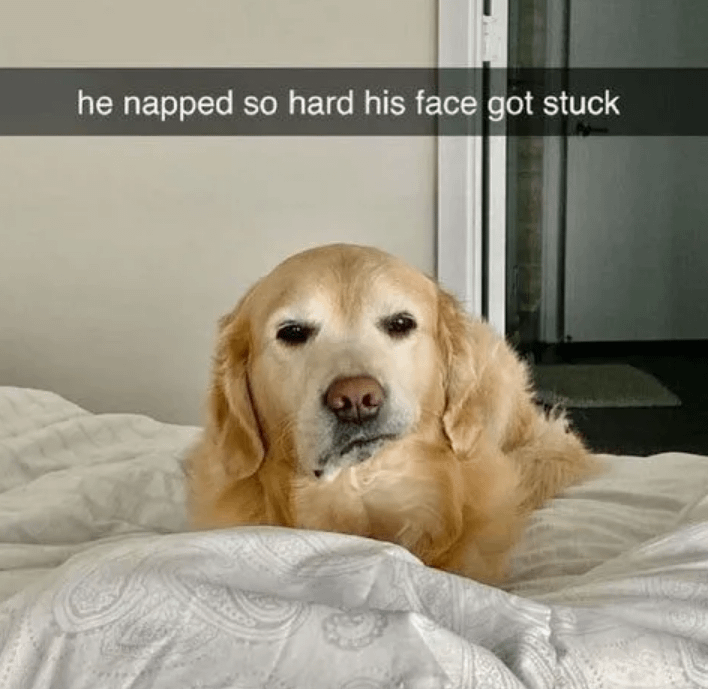 he napped so hard his face got stuck