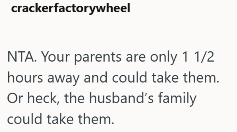 crackerfactorywheel NTA. Your parents are only 1 1/2 hours away and could take them. Or heck, the husband's family could take them.