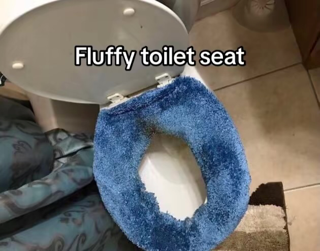 V Fluffy toilet seat