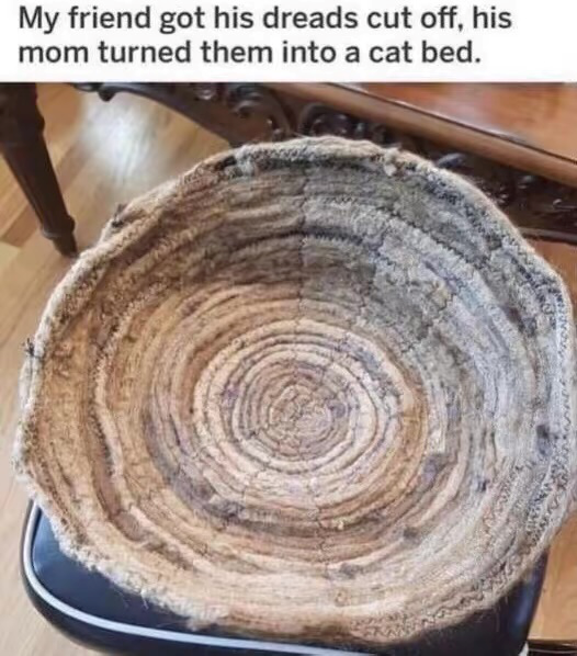 My friend got his dreads cut off, his mom turned them into a cat bed.