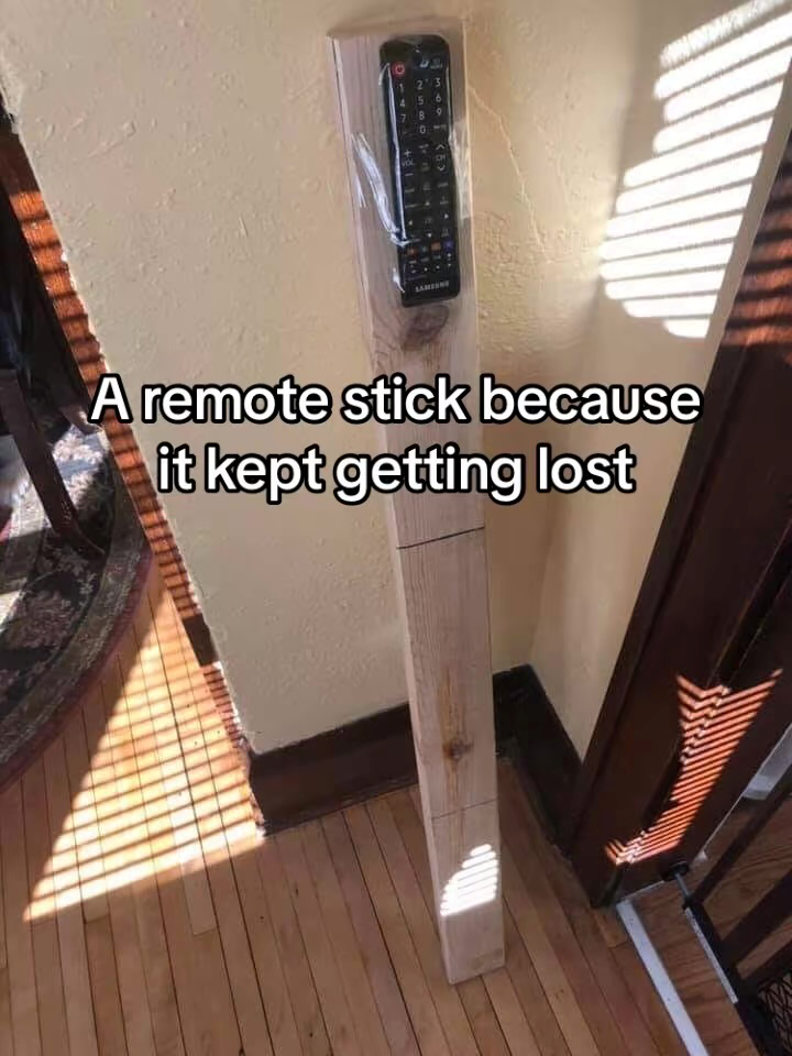 LAMZUNG 456 9 A remote stick because it kept getting lost M AY