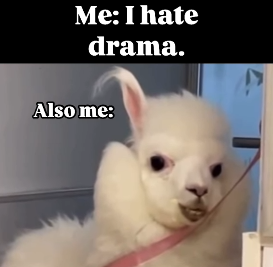 Me: I hate drama. Also me: