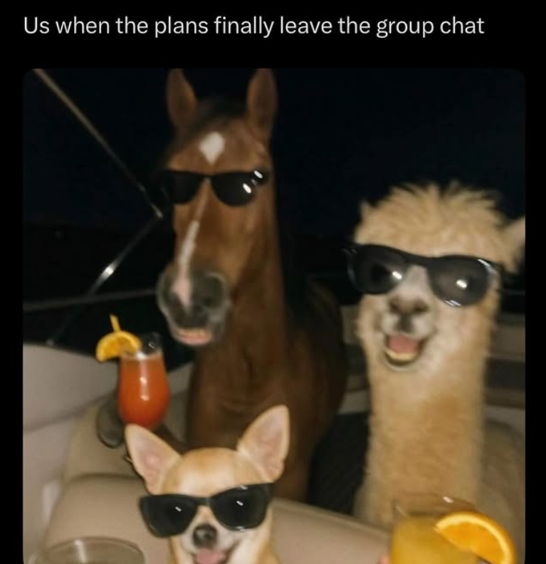 Us when the plans finally leave the group chat