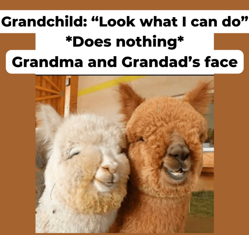 Grandchild: “Look what I can do" *Does nothing* Grandma and Grandad's face