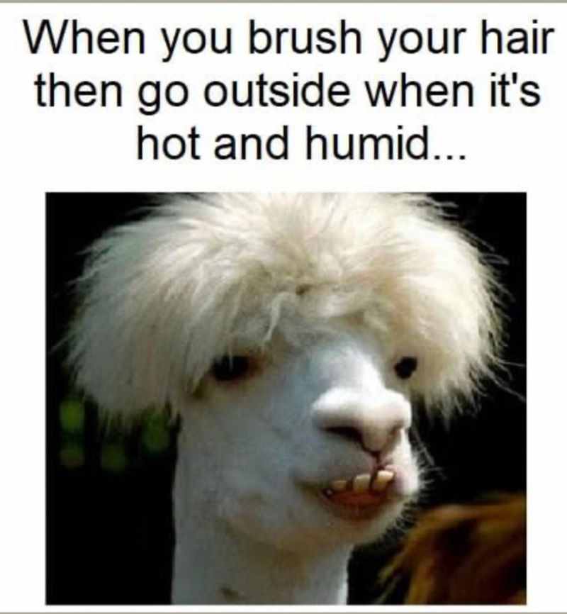 When you brush your hair then go outside when it's hot and humid...