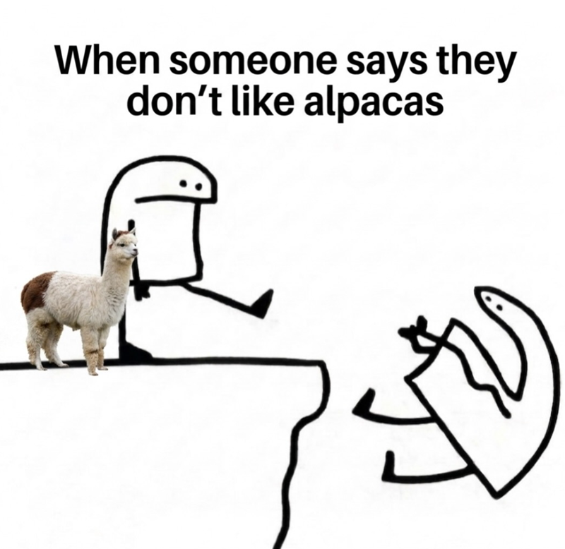 When someone says they don't like alpacas