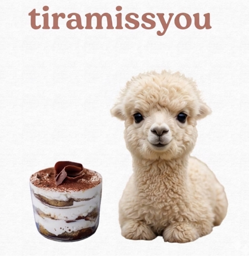 tiramissyou