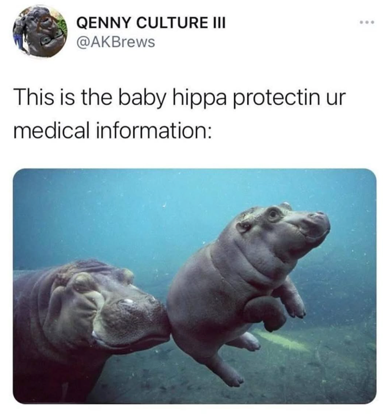 QENNY CULTURE III @AKBrews This is the baby hippa protectin ur medical information: