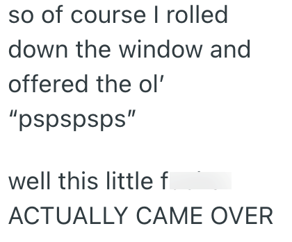 so of course I rolled down the window and offered the ol' "pspspsps" well this little f ACTUALLY CAME OVER