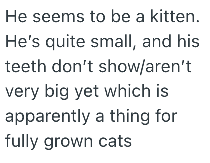 He seems to be a kitten. He's quite small, and his teeth don't show/aren't very big yet which is apparently a thing for fully grown cats