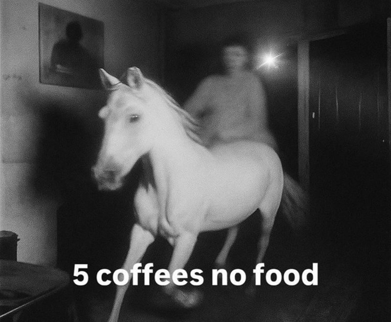 5 coffees no food