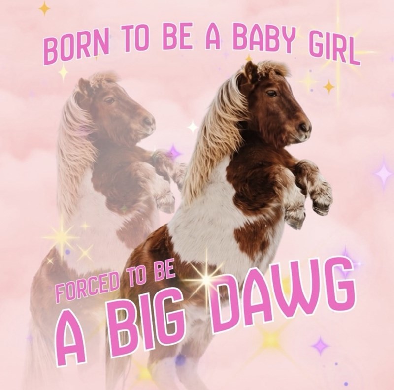 BORN TO BE A BABY GIRL FORCED TO BE A BIG DAWG