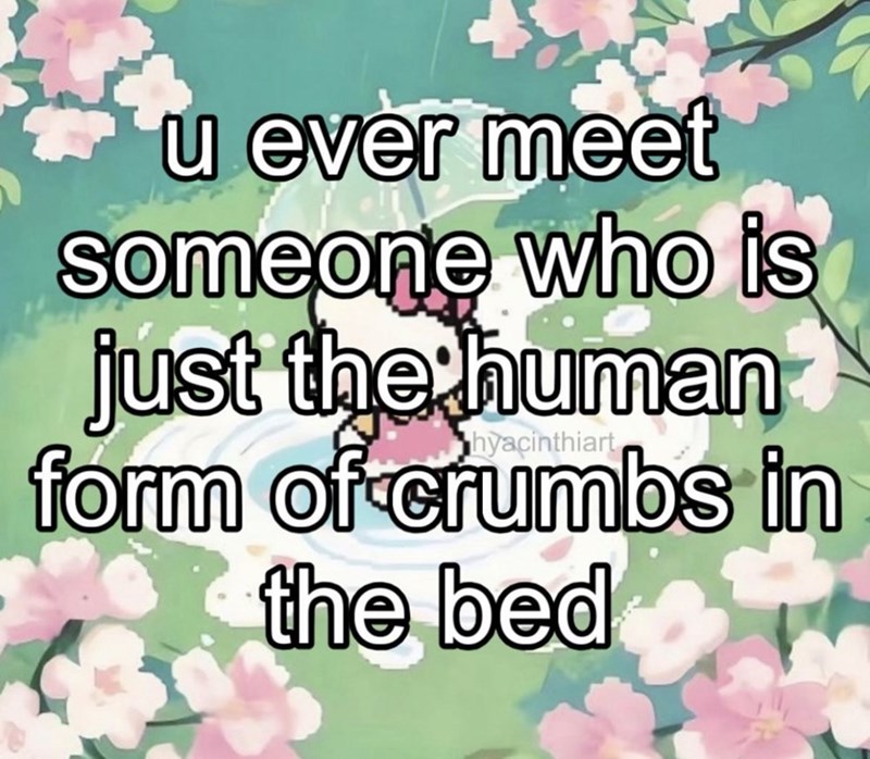 u ever meet someone who is just the human form of crumbs in the bed