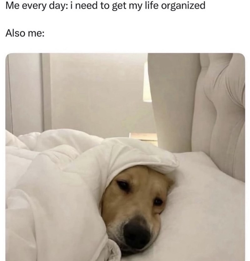 Me every day: i need to get my life organized Also me: