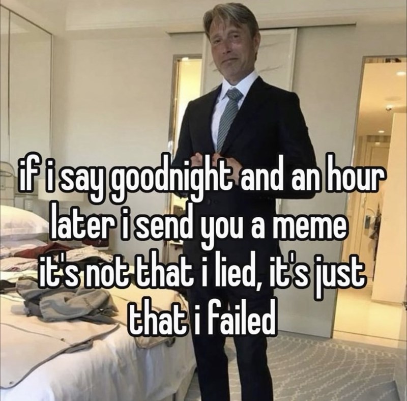 if i say goodnight and an hour later isend you a meme it's not that i lied, it's just that i failed