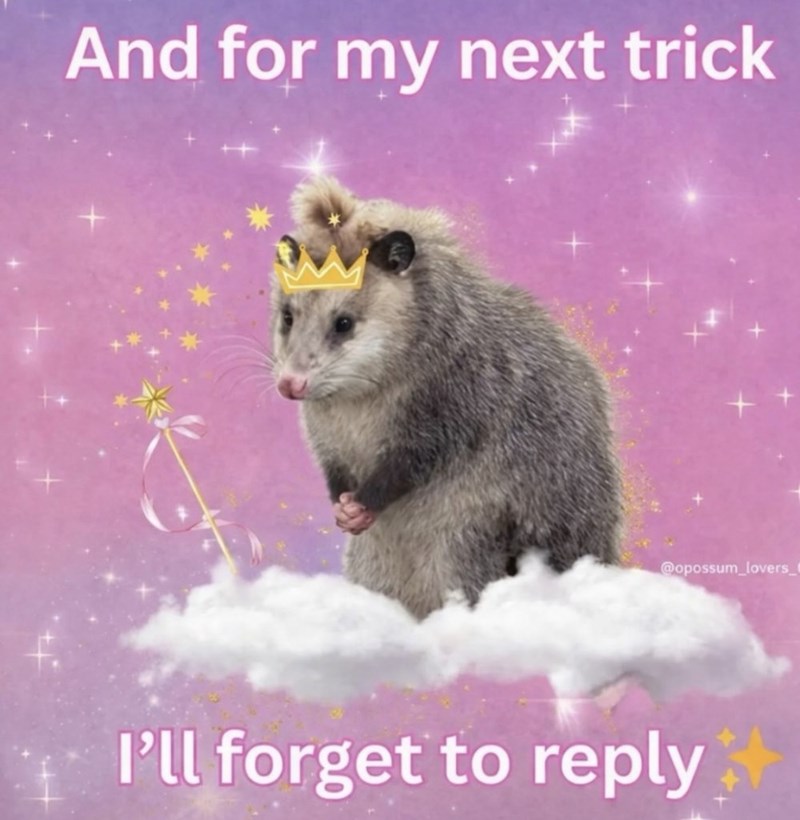 And for my next trick @opossum_lovers_ I'll forget to reply