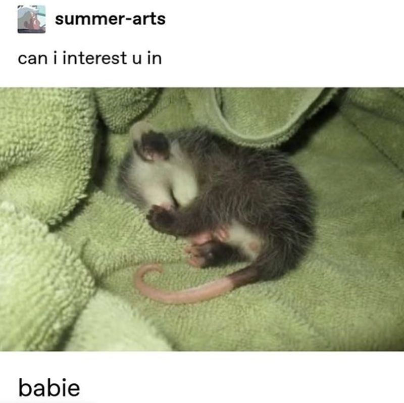 summer-arts can i interest u in babie