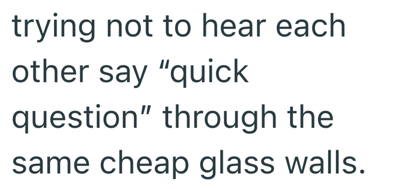 trying not to hear each other say "quick question" through the same cheap glass walls.