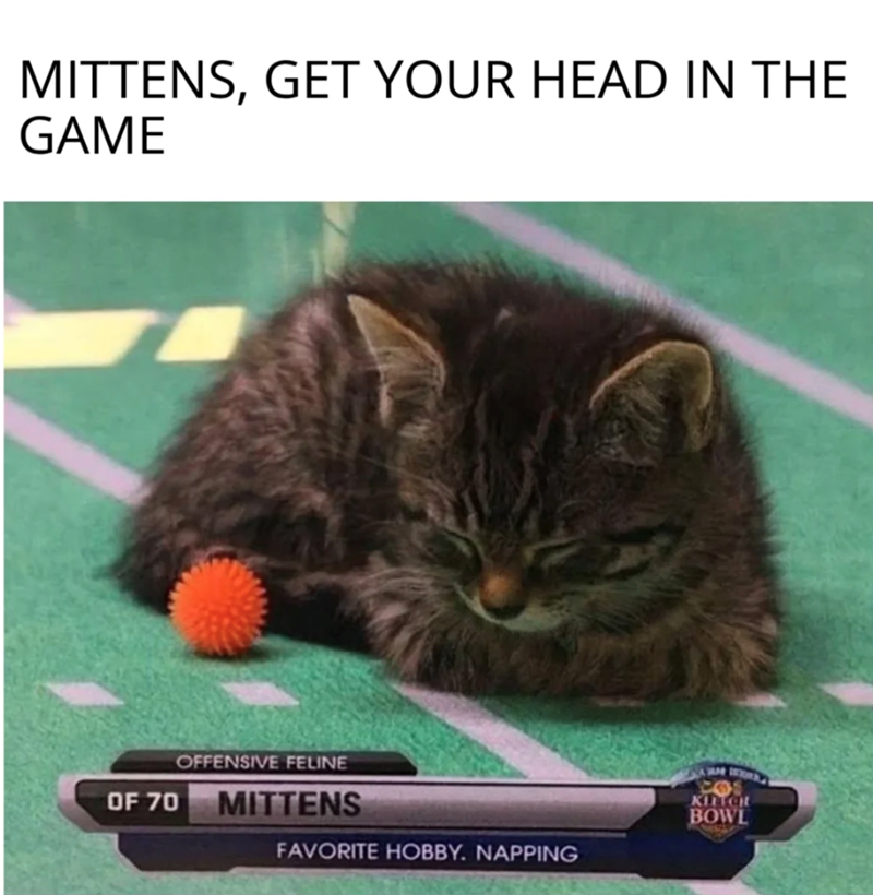 MITTENS, GET YOUR HEAD IN THE GAME OF 70 OFFENSIVE FELINE MITTENS FAVORITE HOBBY. NAPPING KIITCH BOWL