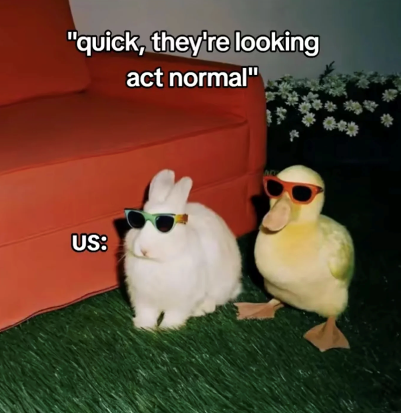 "quick, they're looking act normal" US: