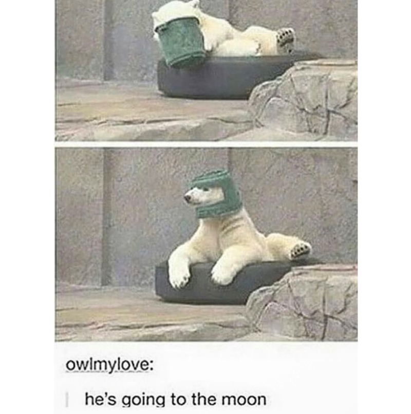 owlmylove: he's going to the moon