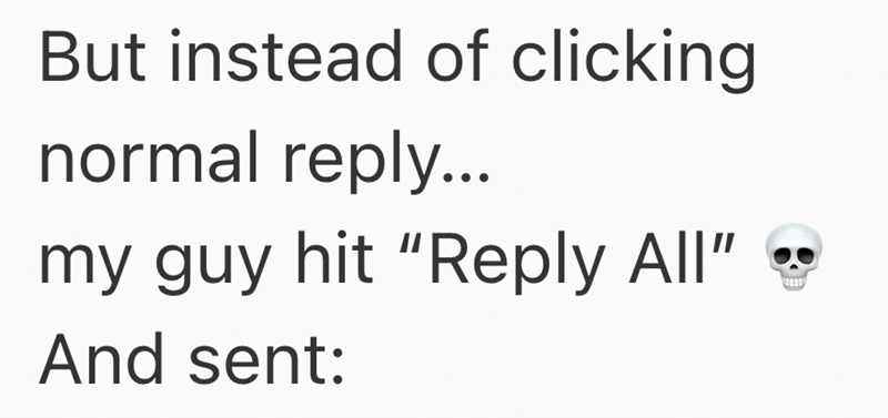 But instead of clicking normal reply... my guy hit "Reply All" And sent: