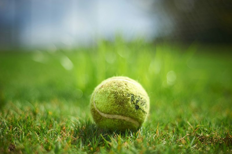 A tennis ball lying in a homeowner's yard near the fence.