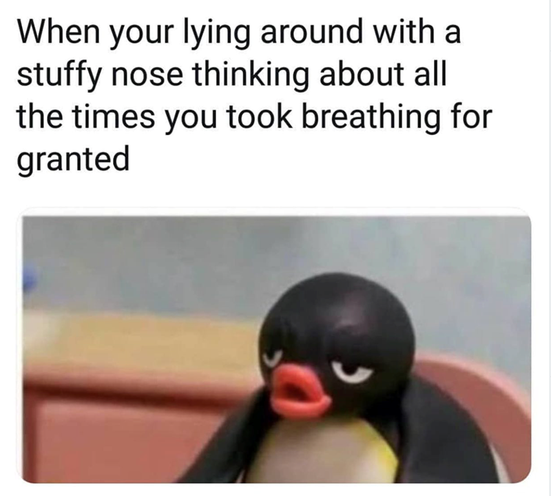 When your lying around with a stuffy nose thinking about all the times you took breathing for granted