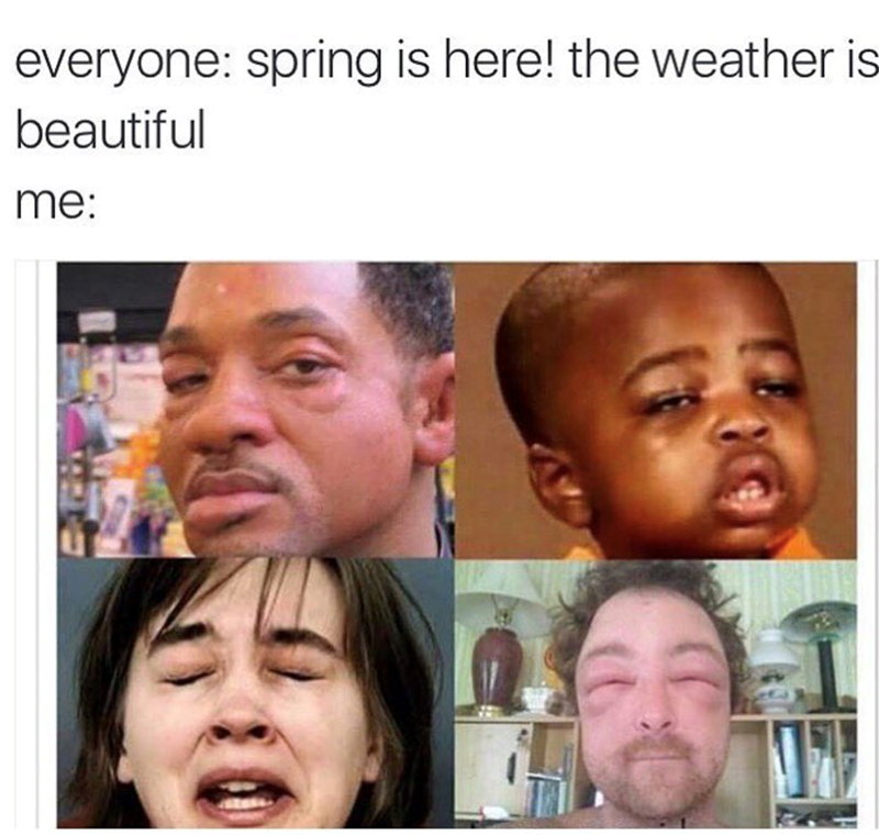 everyone: spring is here! the weather is beautiful me: