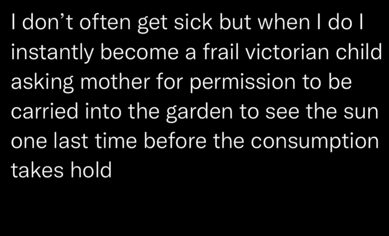 I don't often get sick but when I do I instantly become a frail victorian child asking mother for permission to be carried into the garden to see the sun one last time before the consumption takes hold