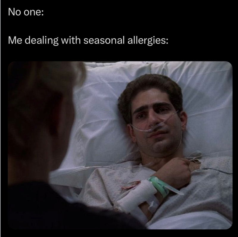 No one: Me dealing with seasonal allergies: