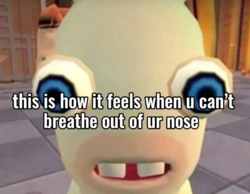this is how it feels when u can't breathe out of ur nose