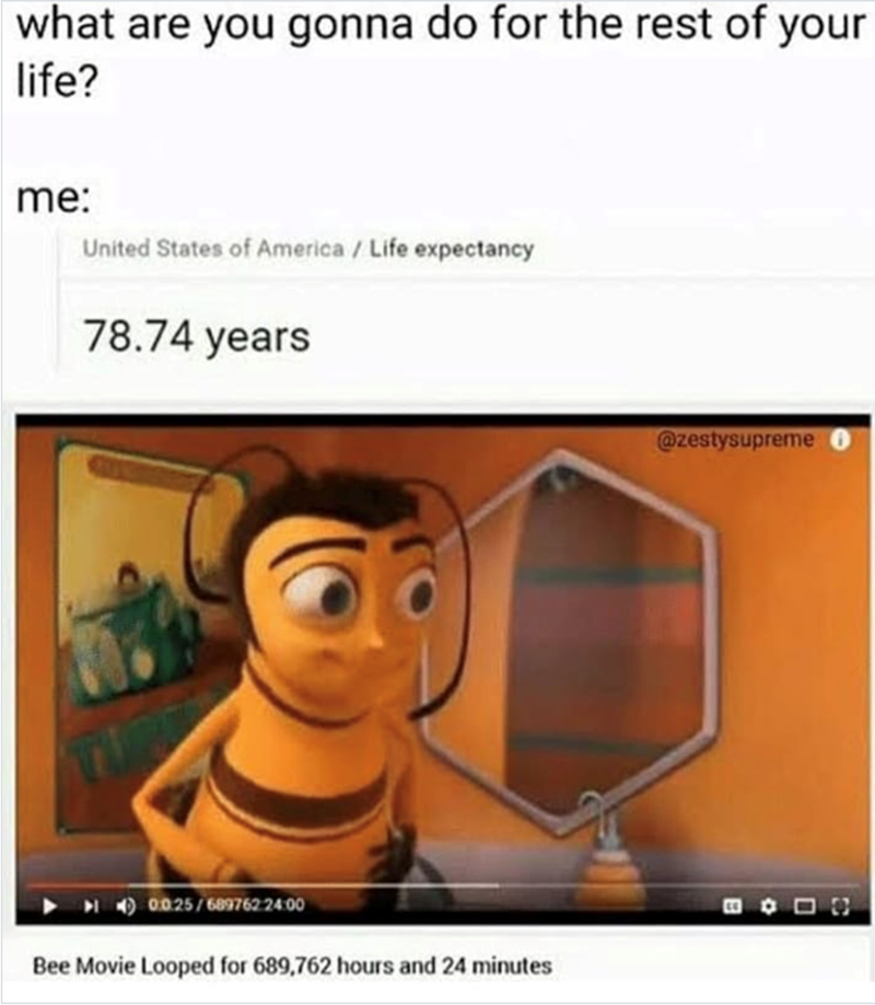 what are you gonna do for the rest of your life? me: United States of America/Life expectancy 78.74 years 0:0:25/689762:24:00 Bee Movie Looped for 689,762 hours and 24 minutes @zestysupreme