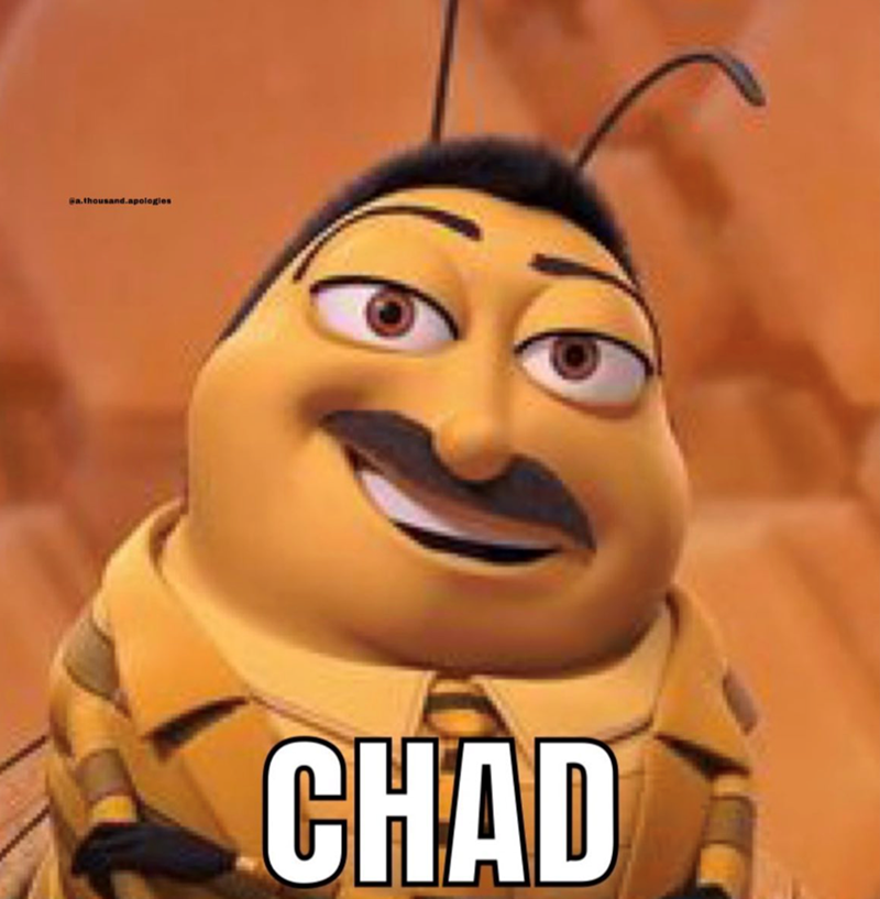 Ga.thousand.apologies CHAD