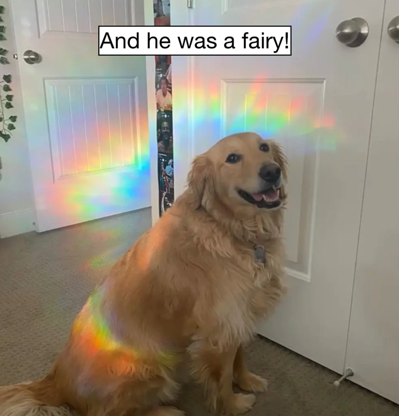 And he was a fairy!