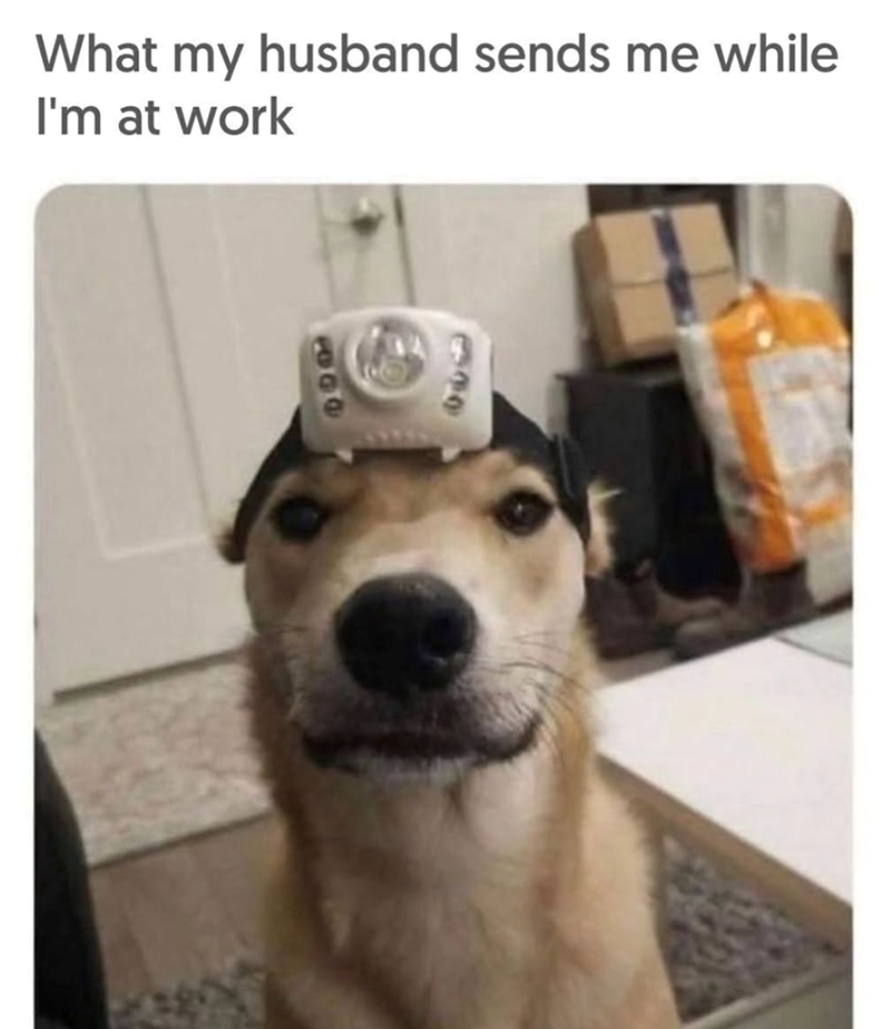 What my husband sends me while I'm at work 630 6609